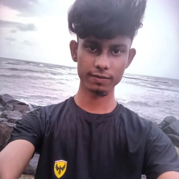 Sayed Zahin Al Karim